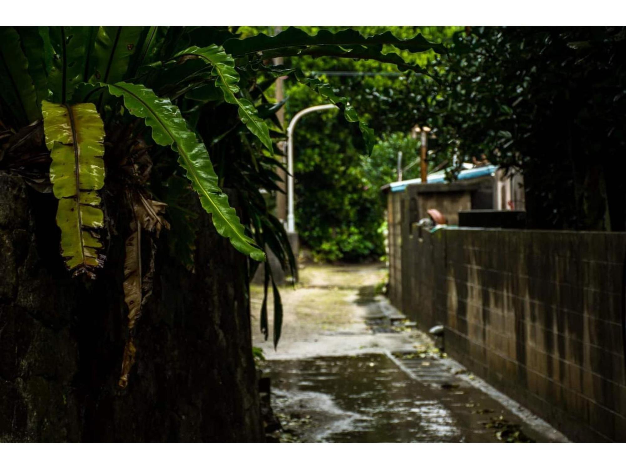 Homestay Kucha - Vacation Stay 17857V Zamami Exterior foto